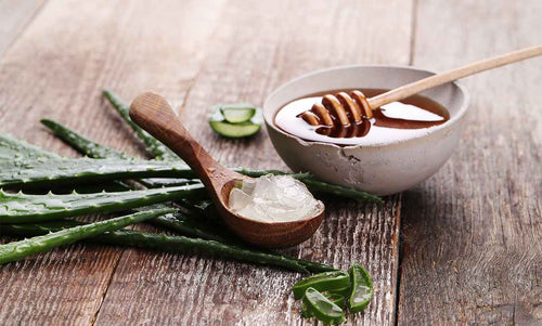Aloe Vera vs. Honey: Which is Better