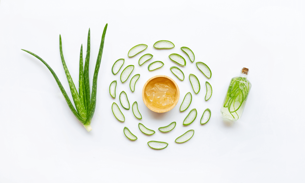 Healing Herbs: The Best Plants for Skin Repair & Wound Care