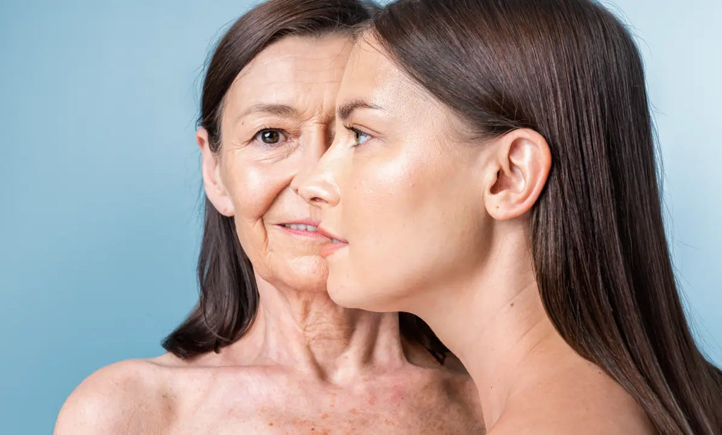 The Role of Type I Collagen in Restoring Damaged Skin and Tissues