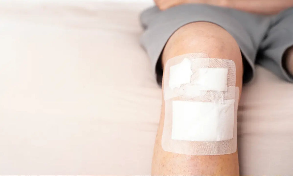 How Collagen Dressings Work Beneath the Surface: A Deep Dive into Healing Biology