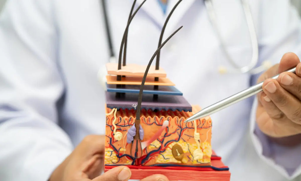 The Secret to Flawless Recovery: Collagen’s Role in Skin Remodeling
