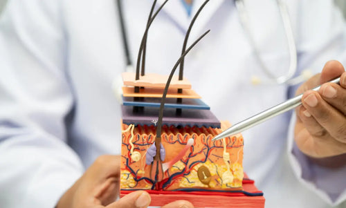The Secret to Flawless Recovery: Collagen’s Role in Skin Remodeling