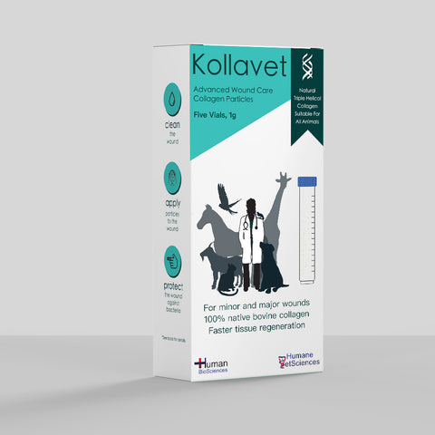 Collagen for Animal Healing