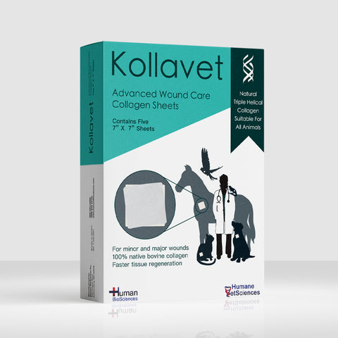 Animal Wound Products – Natural Wound Care for Pets with Kollavet® Collagen